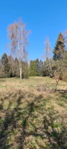 Hinterer Teil des Gartengrundstücks
