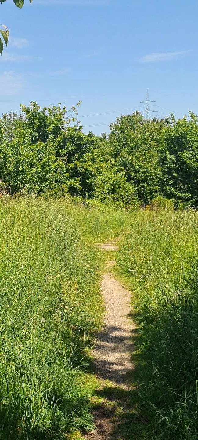 Landweg